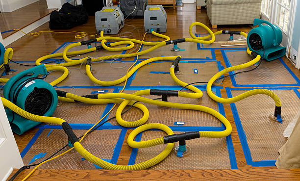Professional Basement Flood Cleanup technician working in Mead, CO